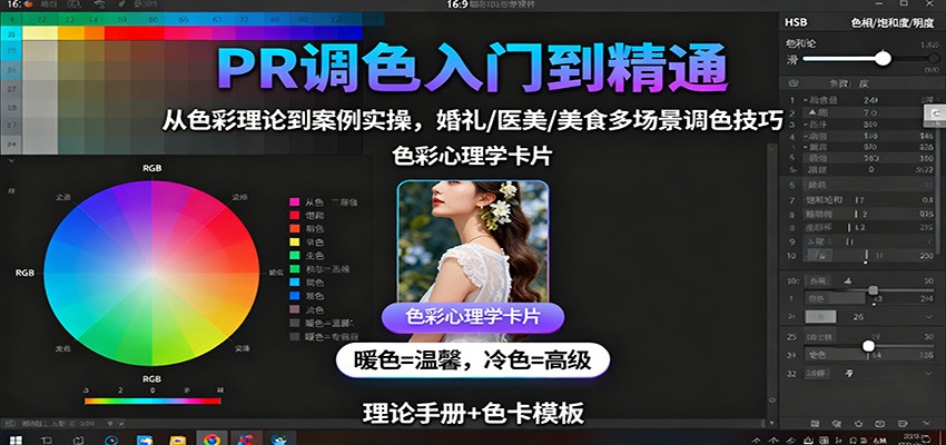 PR调色入门到精通：从色彩理论到案例实操，婚礼/医美/美食多场景调色技巧-财阁