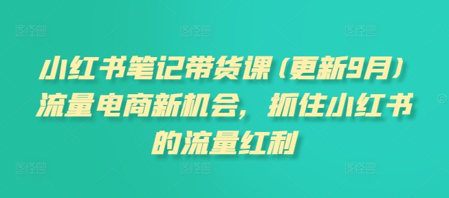 小红书笔记带货课(更新25年9月)流量电商新机会，抓住小红书的流量红利-财阁