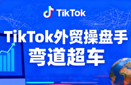 TikTok外贸操盘手(更新11月)-财阁