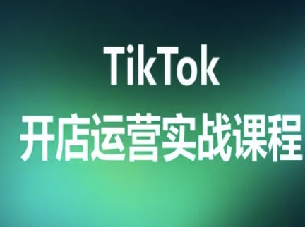 TikTok开店运营实战课程，TK跨境电商实操全流程-财阁