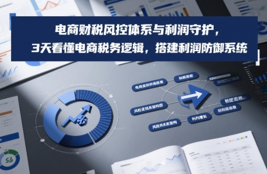 电商财税风控体系与利润守护，3天看懂电商税务逻辑，搭建利润防御系统-财阁