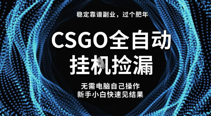 【稳定副业】全球最热门游戏CSGO全自动捡漏，最新玩法，新手小白日入5张+【揭秘】-财阁