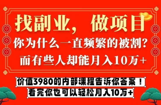 价值3980的网创内部课程，告诉你互联网创业月入10个W的秘密【揭秘】-财阁
