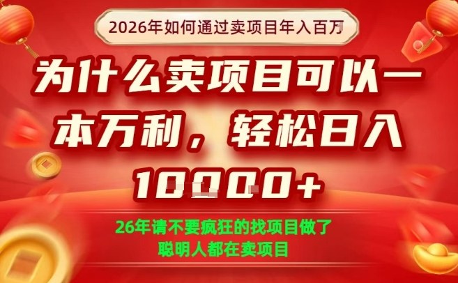 一单净利润1K+，26年想年入100个W，死磕卖项目就够了【揭秘】-财阁