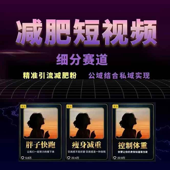 图片[2]-减肥短视频运营实战课：含素材制作、剪映教学，讲精准引流、变现设计与内容模板技巧-财阁
