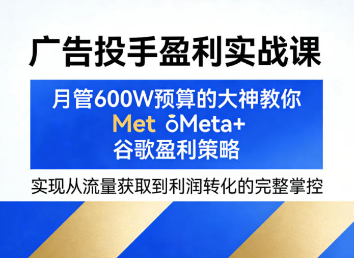 广告投手盈利实战课，月管600W预算的大神教你Meta+谷歌盈利策略，实现从流量获取到利润转化的完整掌控-财阁