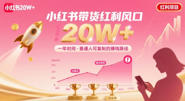 一年时间靠小红书带货项目年入20w+，最不能错的大红利项目-财阁