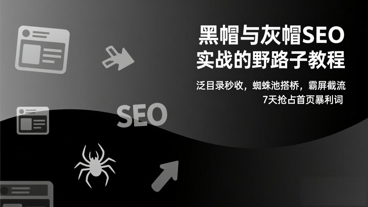 黑帽与灰帽SEO实战的野路子教程：泛目录秒收，蜘蛛池搭桥，霸屏截流，7天抢占首页暴利词-财阁