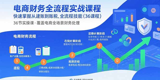 电商财务全流程实战课程：快速掌握从建账到报税的全流程技能(36节课-财阁