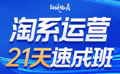 白凤电商·淘系运营21天速成班(更新4月)-财阁