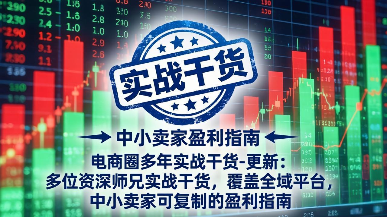 电商圈多年实战干货-更新4月：多位资深师兄实战干货，覆盖全域平台，中小卖家可复制的盈利指南-财阁