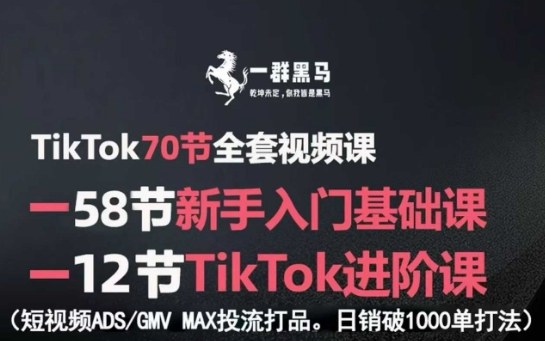 TikTok全套视频课，新手入门+进阶课，短视频ADS-GMV MAX投流打品，日销破1000单打法-财阁