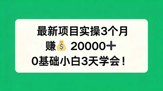 最新项目实操3个月，赚钱20000+，0基础小白3天学会！-财阁