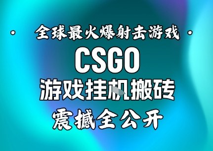 【年底大揭秘】基于全球最火爆的射击CSGO游戏挂G搬砖，日入5张+，震撼公开-财阁