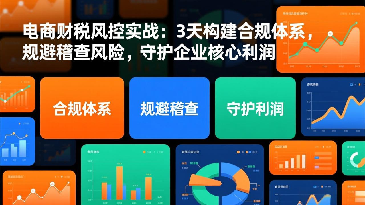 电商财税风控实战：3天构建合规体系，规避稽查风险，守护企业核心利润-财阁