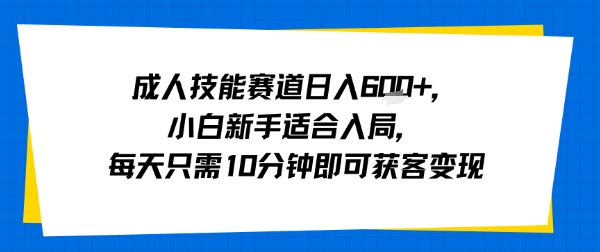 成人技能赛道日入多张，小白新手适合入局，每天只需10分钟即可获客变现-财阁