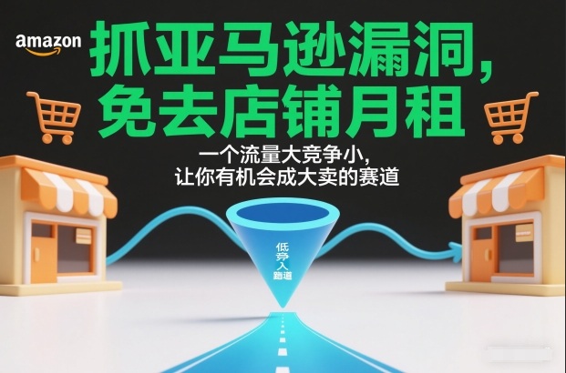 抓亚马逊漏洞，免去店铺月租，一个流量大竞争小，让你有机会成大卖的赛道-财阁