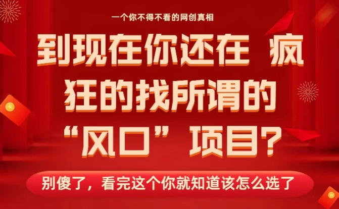 马上26年了，你还在找所谓的风口项目？别傻了，看完这个你全都懂了！【揭秘】-财阁