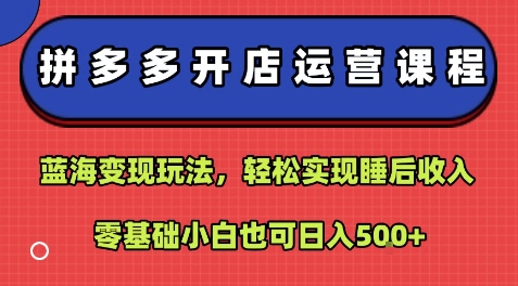 拼多多开店运营课程：蓝海变现玩法，轻松实现睡后收入，零基础小白也可日入5张-财阁