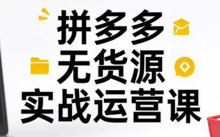 子枫老师·拼多多无货源实战运营课(更新12月)-财阁
