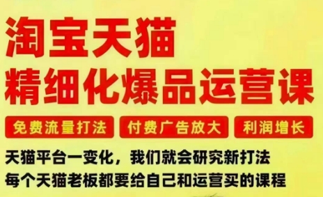 淘宝天猫精细化爆品运营课，免费流量打法-付费广告放大-利润增长-三大核心痛点，一次全部解决-财阁