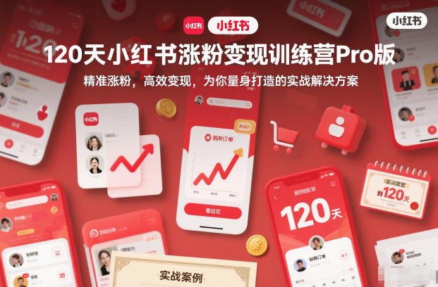 120天小红书涨粉变现训练营Pro版，精准涨粉，高效变现，为你量身打造的实战解决方案-财阁
