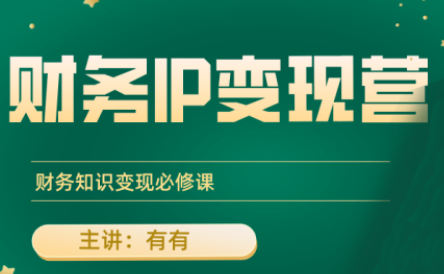 有有老师·财务IP变现营，财务知识变现必修课-财阁